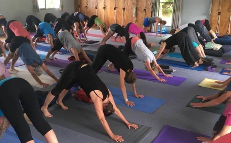 yoga-pose-downward-dog yoga-pose-downward-dog